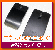 VAIO